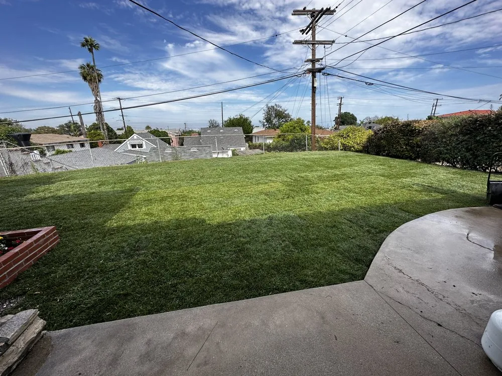Professional yard maintenance experts serving Long Beach, CA - Dynamic Landscape