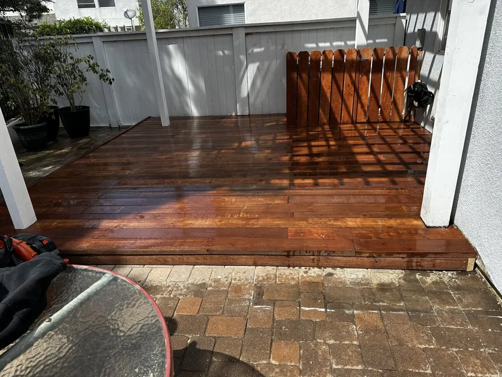 Expert yard cleanup service in Long Beach, CA - Dynamic Landscape