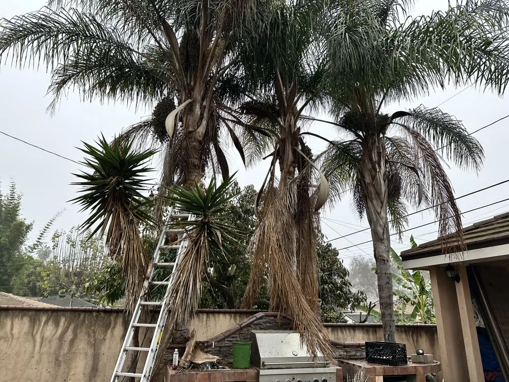 Reliable garden landscaping in Long Beach, CA - Dynamic Landscape