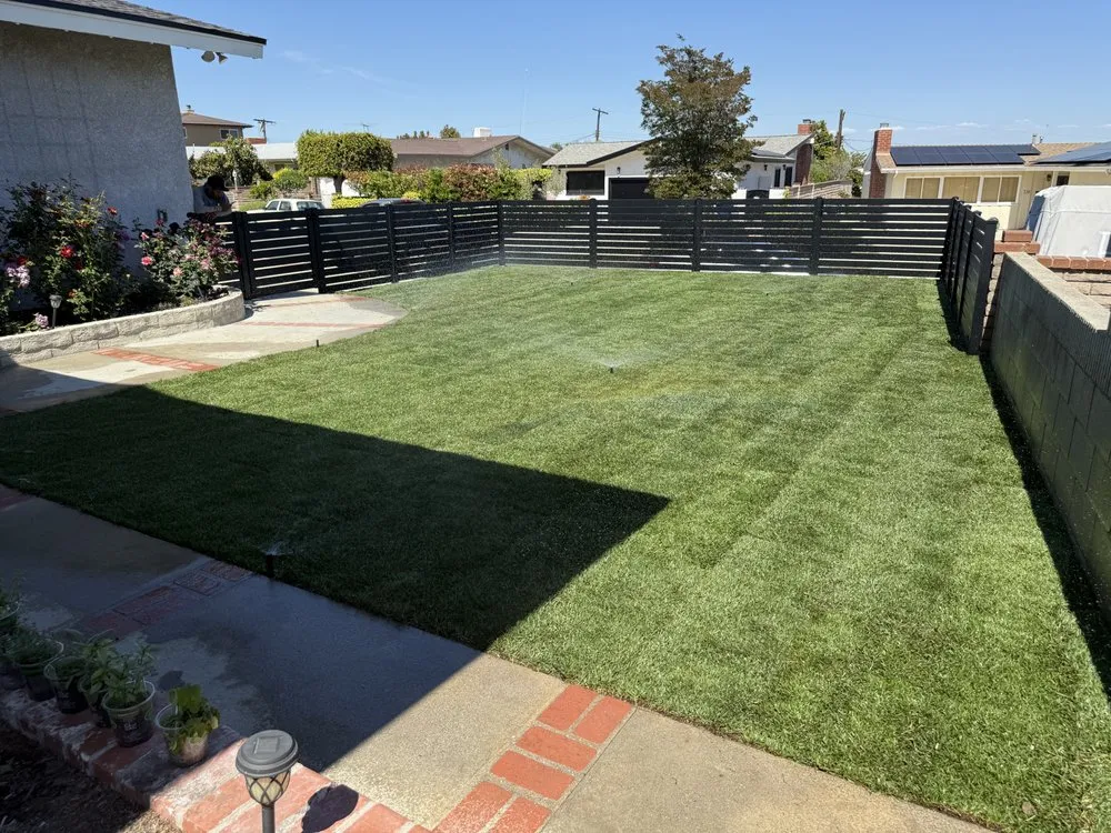 Local lawn care service in Long Beach, CA by Dynamic Landscape