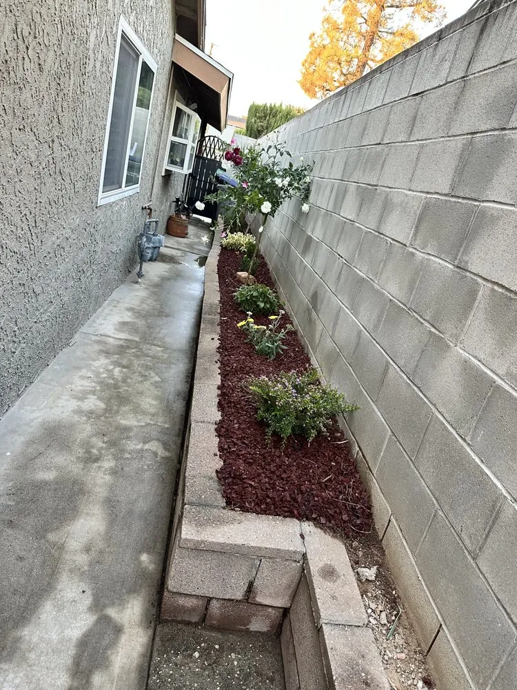 Trusted outdoor landscaping in Long Beach, CA by Dynamic Landscape
