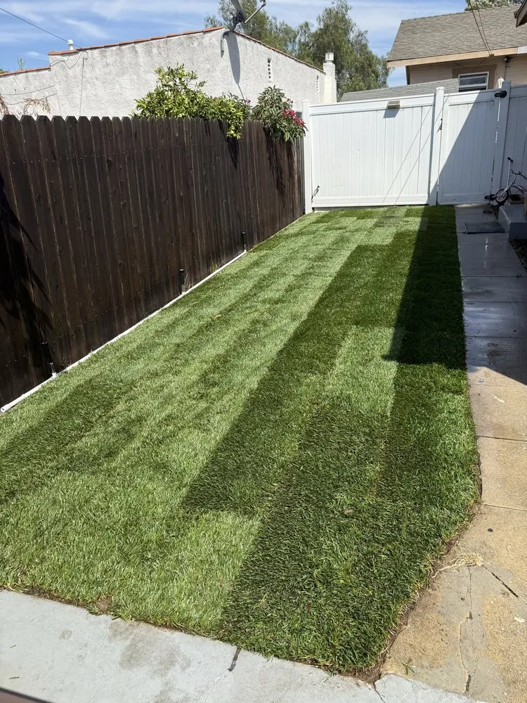 Top-rated landscape design experts serving Long Beach, CA - Dynamic Landscape