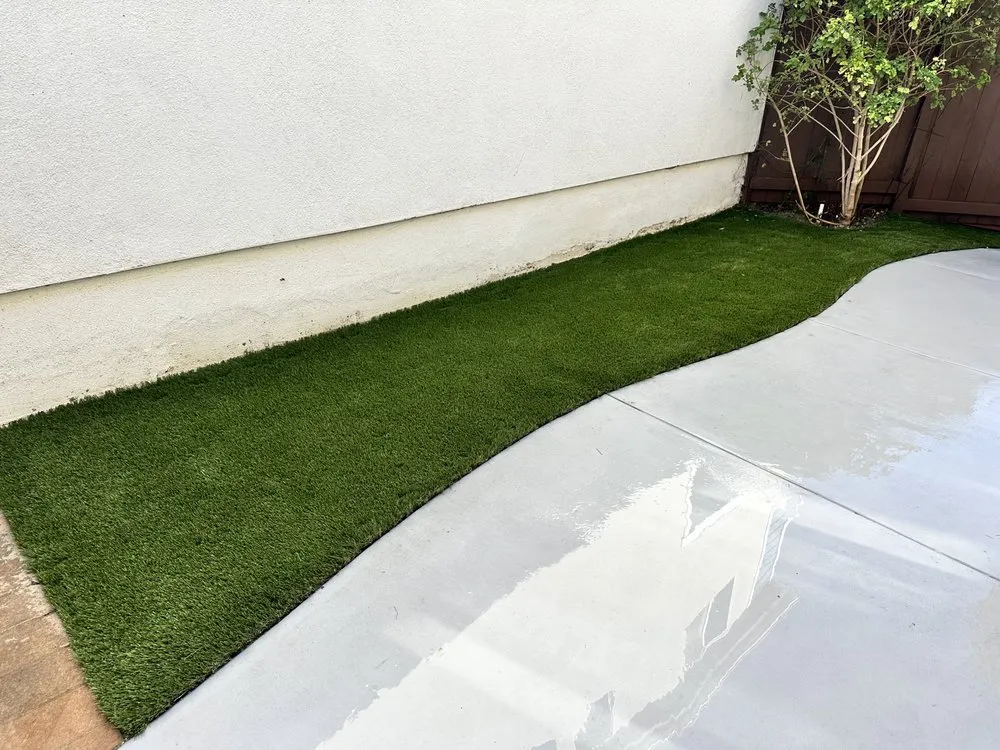 Reliable yard cleanup service in Long Beach, CA - Dynamic Landscape