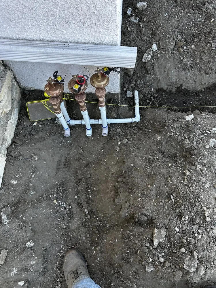 Top-rated yard cleanup service for year-round maintenance across Long Beach, CA - Dynamic Landscape