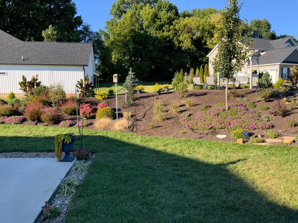 Reliable yard cleanup service in Fall Branch, TN by Dynamic Landscapes