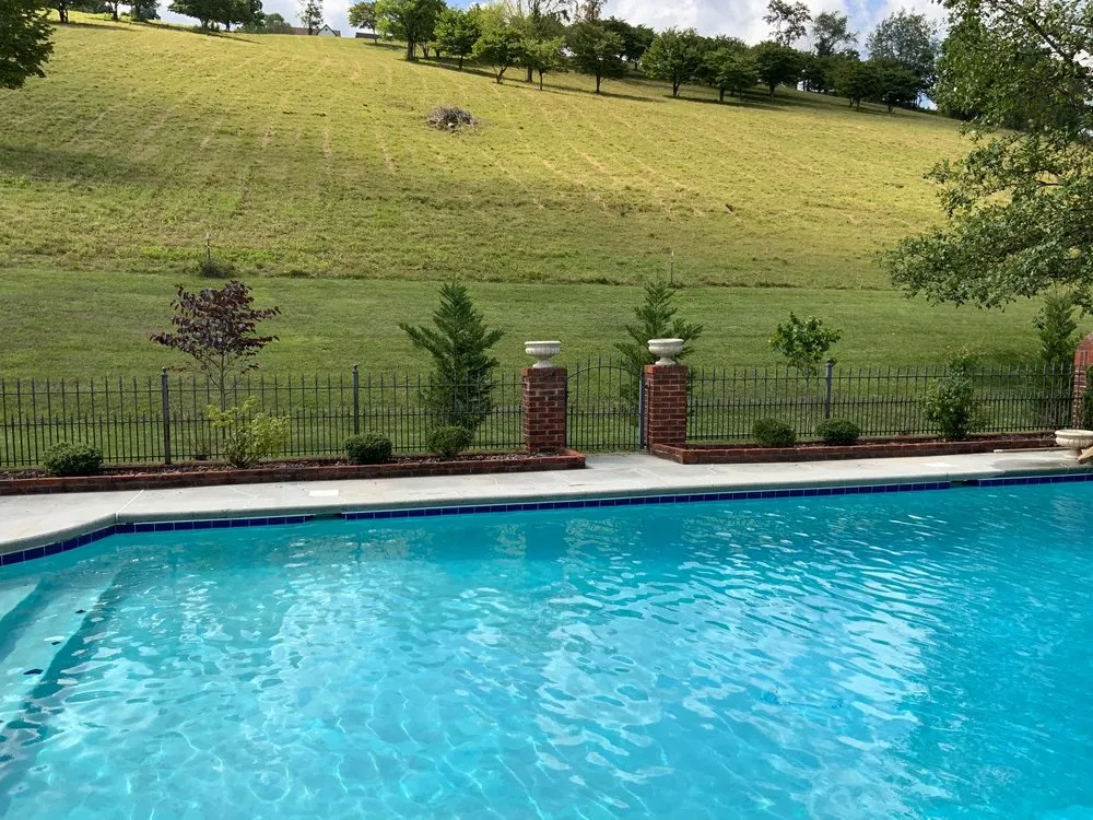 Top-rated yard cleanup service for residential properties across Fall Branch, TN - Dynamic Landscapes