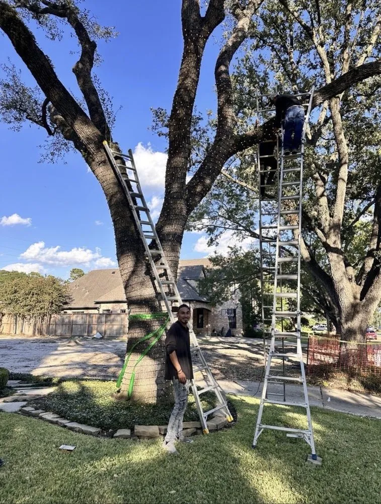 Reliable landscape design in Ontario, CA - Dynamic Landscaping & Design