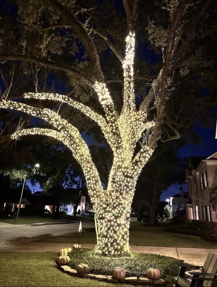 Trusted landscape installation in Ontario, CA by Dynamic Landscaping & Design
