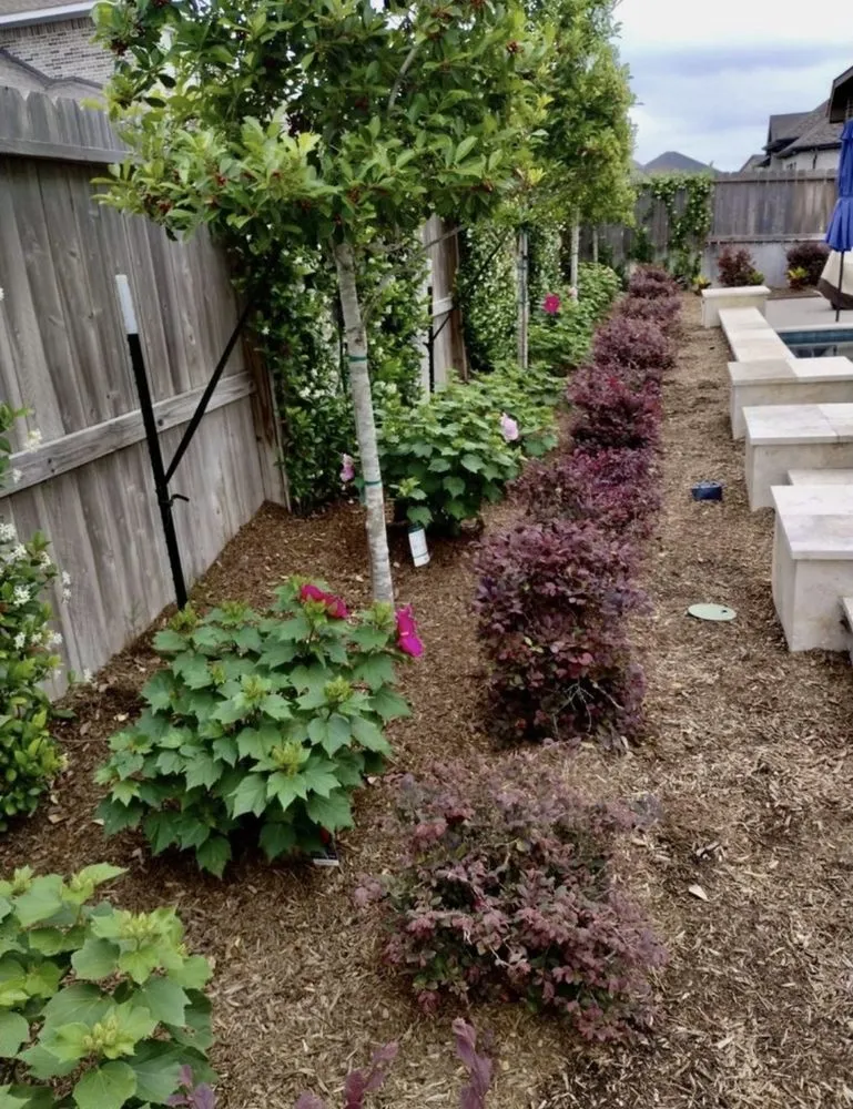 Local landscape design in Ontario, CA by Dynamic Landscaping & Design