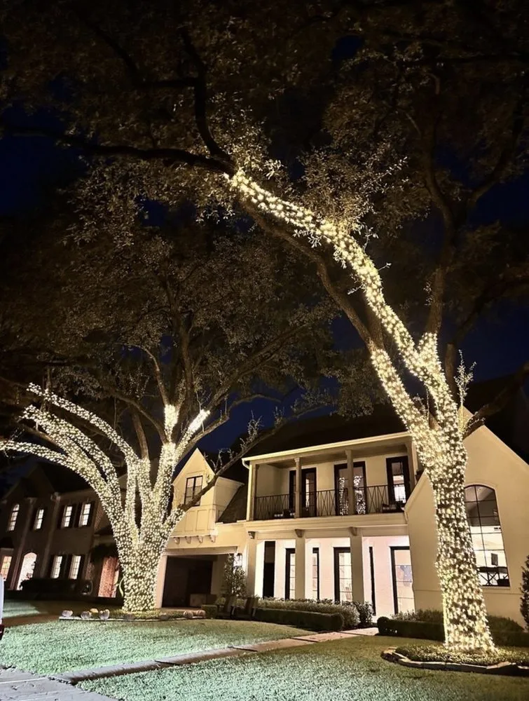 Professional landscape installation in Ontario, CA - Dynamic Landscaping & Design