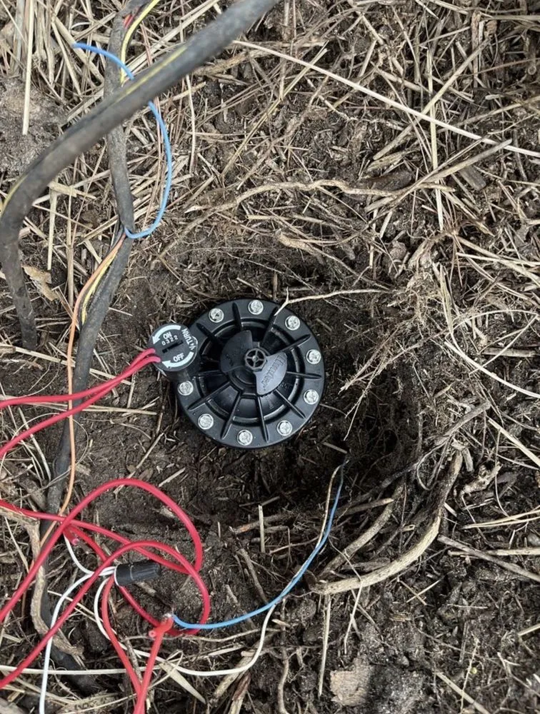 Top-rated garden landscaping in Ontario, CA - Dynamic Landscaping & Design