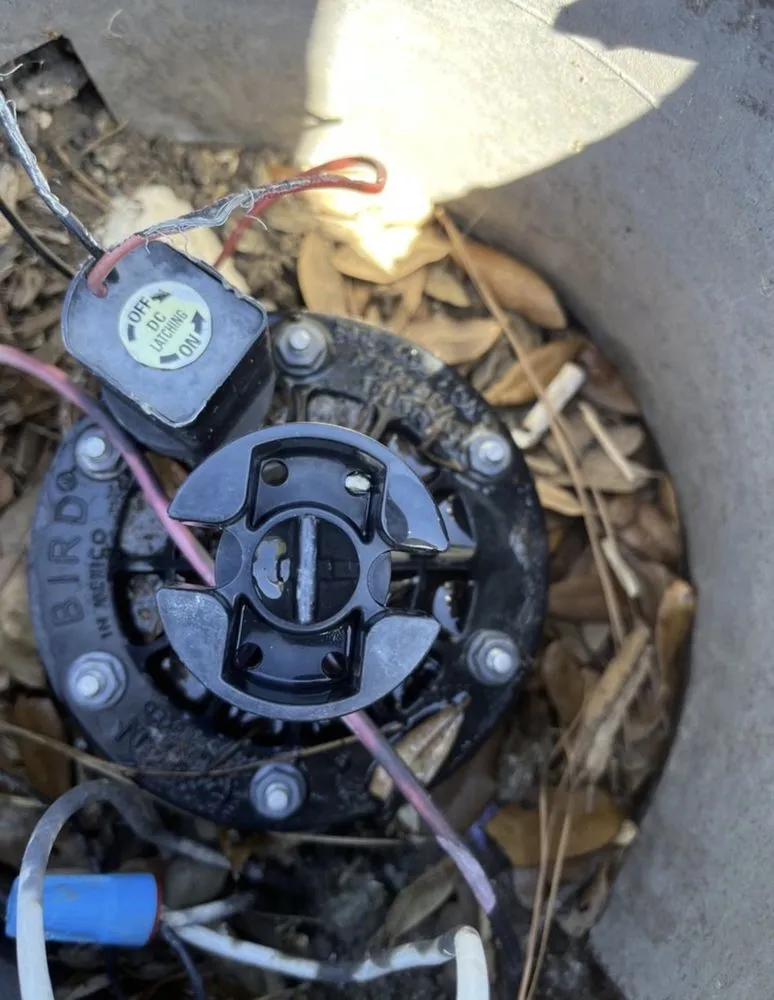 Custom landscape installation for beautiful yards across Ontario, CA - Dynamic Landscaping & Design