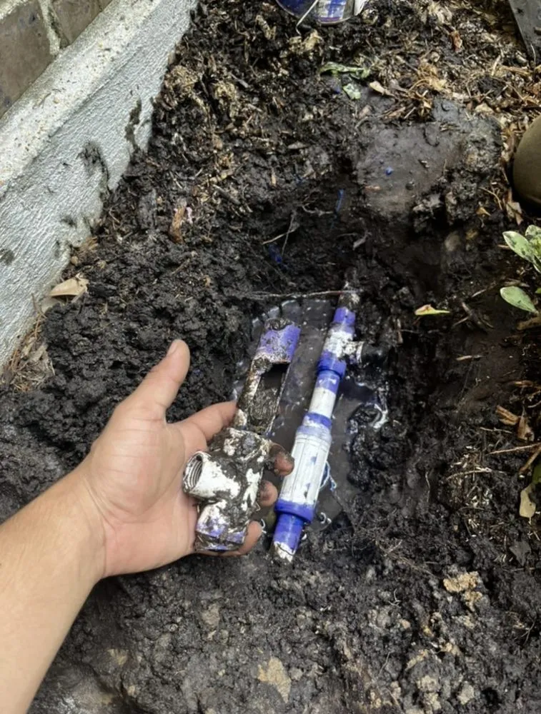 Top-rated landscape design near you across Ontario, CA - Dynamic Landscaping & Design