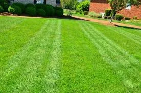 Custom lawn care service in Amarillo, TX by Dynamic Landscaping