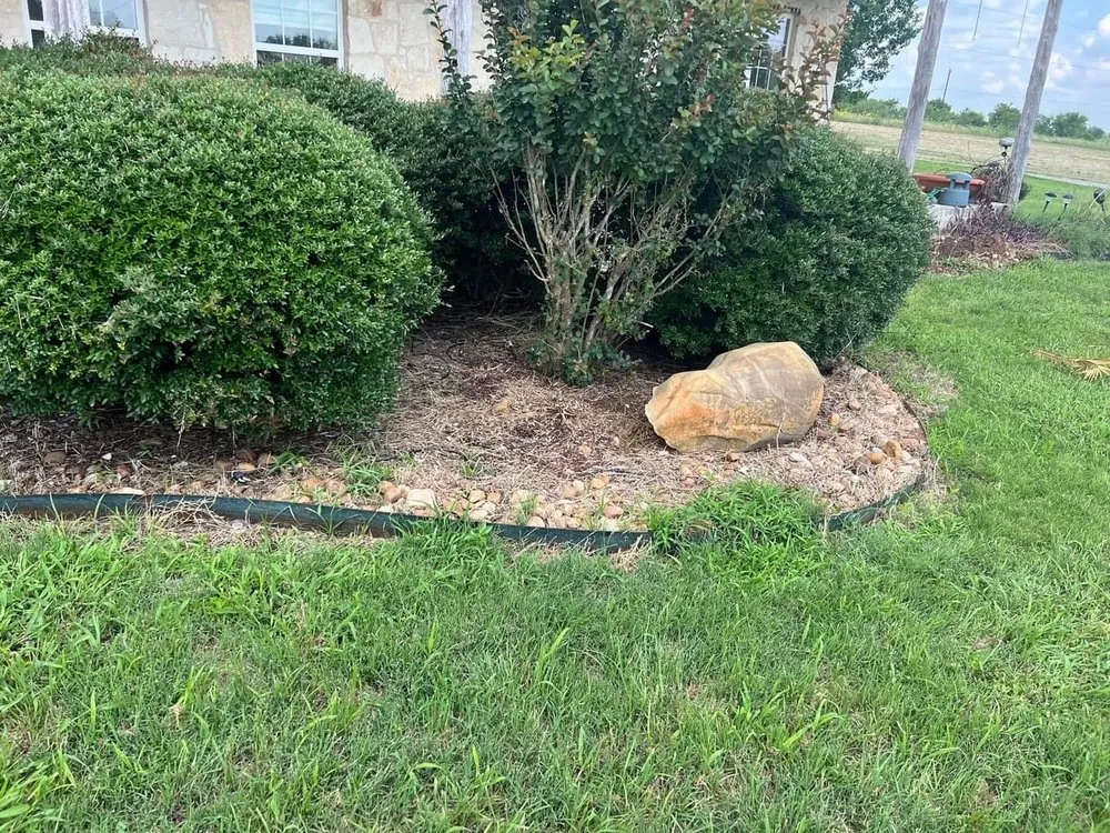 Expert landscape installation experts serving San Antonio, TX - Dynamic Landscaping and Junk Hauling