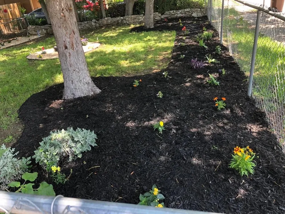 Trusted landscaping services near you in San Antonio, TX by Dynamic Landscaping and Junk Hauling