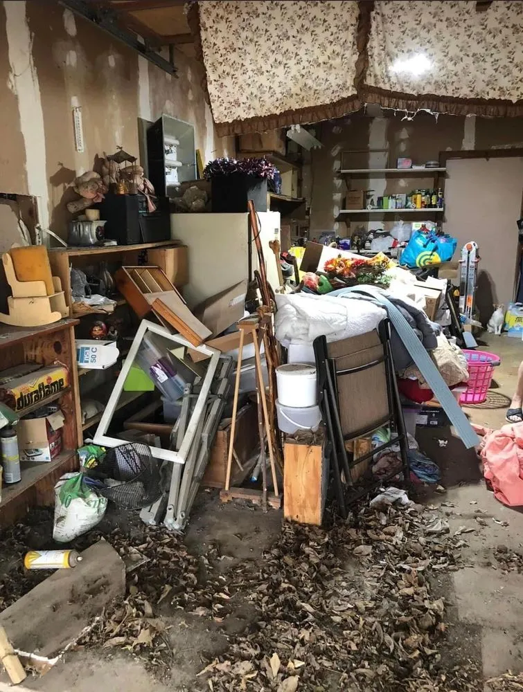 Expert landscaping services for beautiful yards in San Antonio, TX by Dynamic Landscaping and Junk Hauling