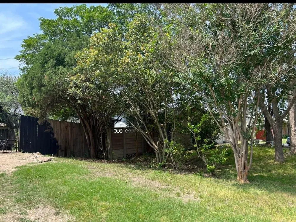 Professional landscape design in San Antonio, TX by Dynamic Landscaping and Junk Hauling