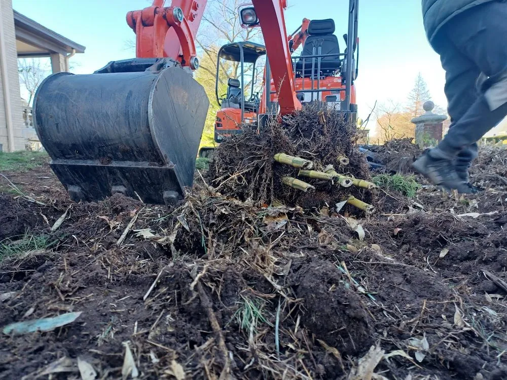 Custom yard cleanup service near you across Pottstown, PA - Dynamic Landscaping And Junk Removal