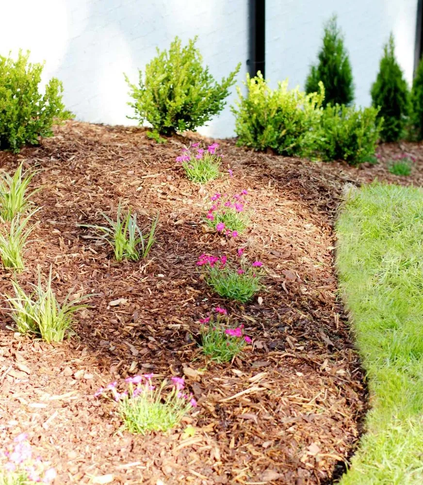 Reliable yard cleanup service in Pottstown, PA by Dynamic Landscaping And Junk Removal