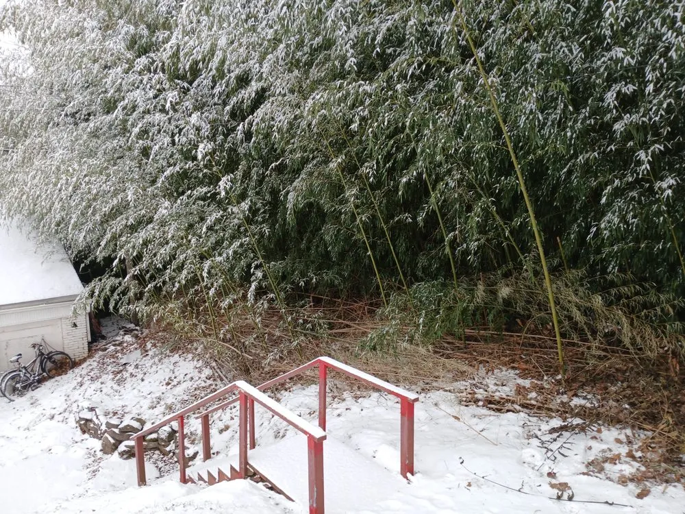 Custom lawn care service in Pottstown, PA - Dynamic Landscaping And Junk Removal