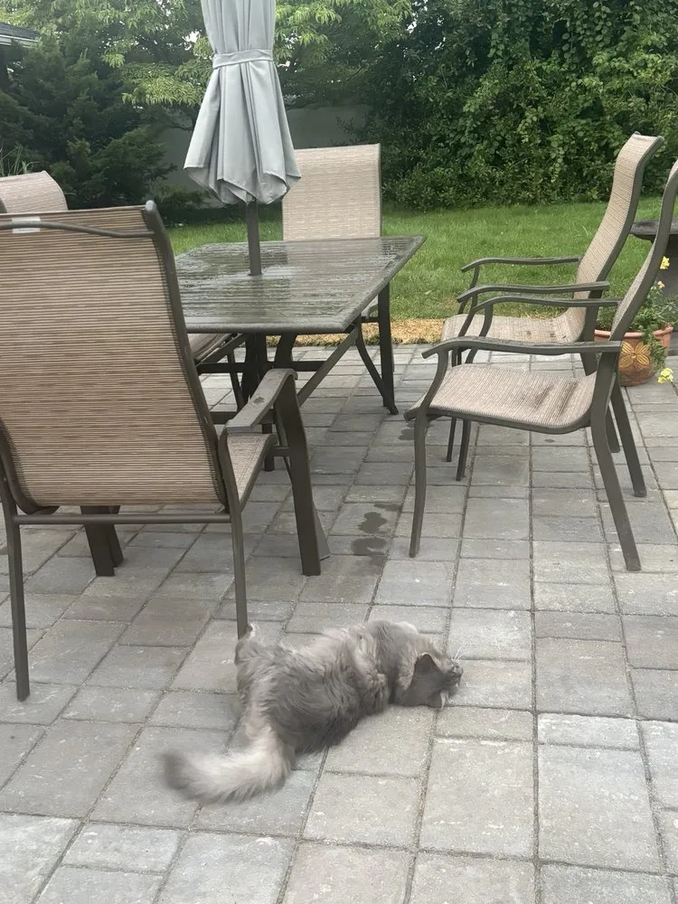 Custom landscape installation in Pottstown, PA by Dynamic Landscaping And Junk Removal