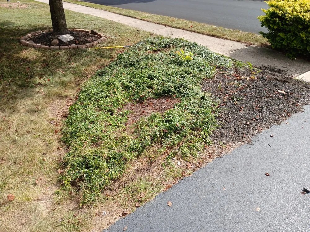 Top-rated garden landscaping in Pottstown, PA by Dynamic Landscaping And Junk Removal