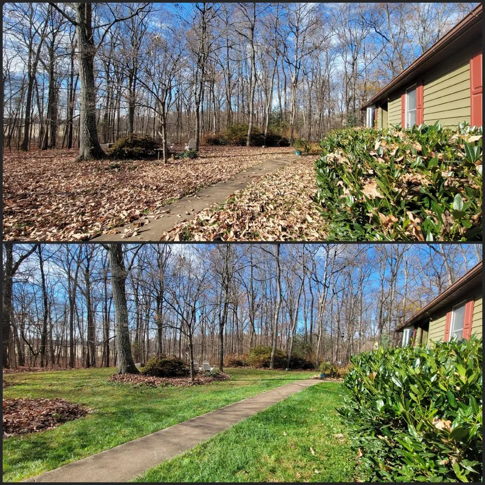 Custom yard cleanup service in Culpeper, VA by Dynamic Landscaping