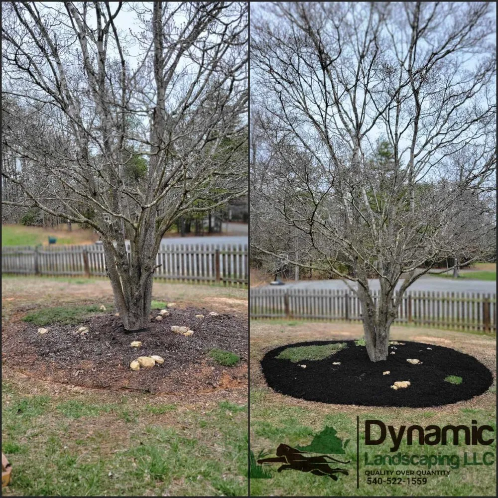 Local yard cleanup service in Culpeper, VA by Dynamic Landscaping