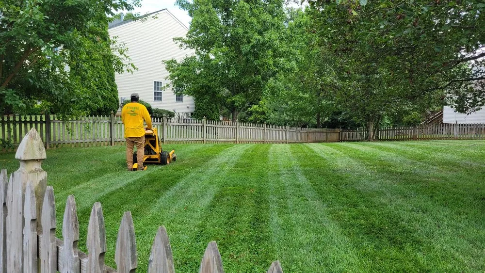 Professional garden landscaping for year-round maintenance in Culpeper, VA by Dynamic Landscaping