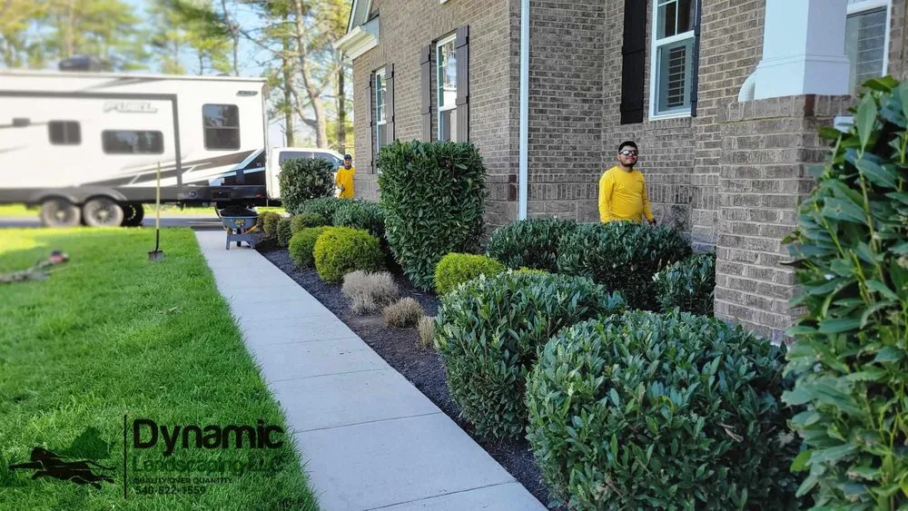 Professional landscaping services for outdoor upgrades in Culpeper, VA by Dynamic Landscaping