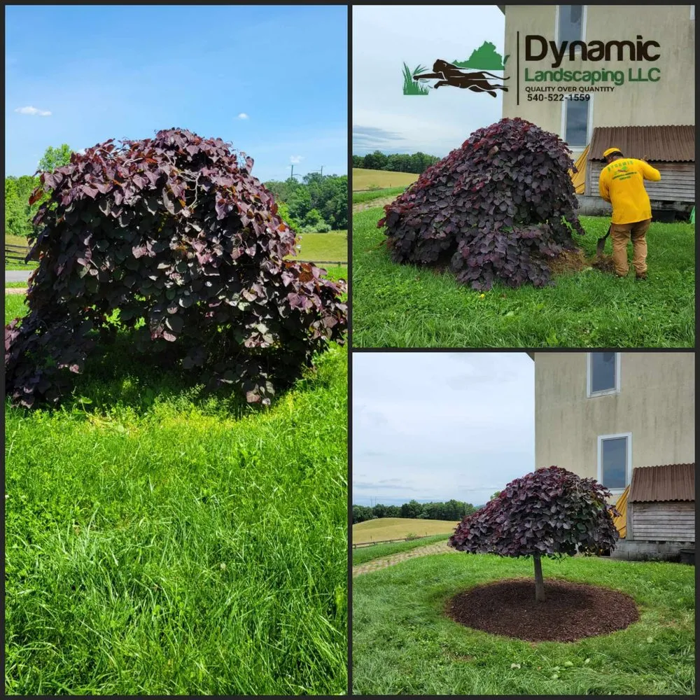 Custom garden landscaping near you across Culpeper, VA - Dynamic Landscaping