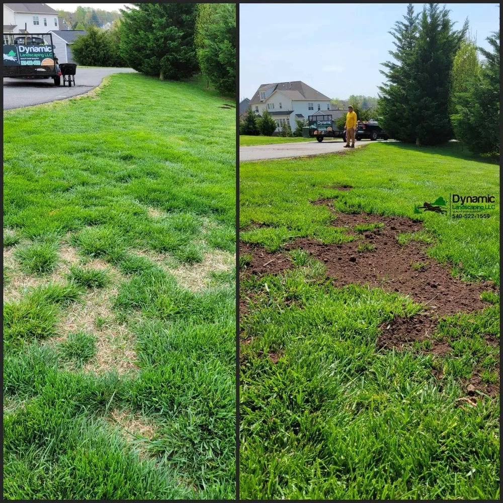 Custom yard maintenance for outdoor upgrades in Culpeper, VA by Dynamic Landscaping