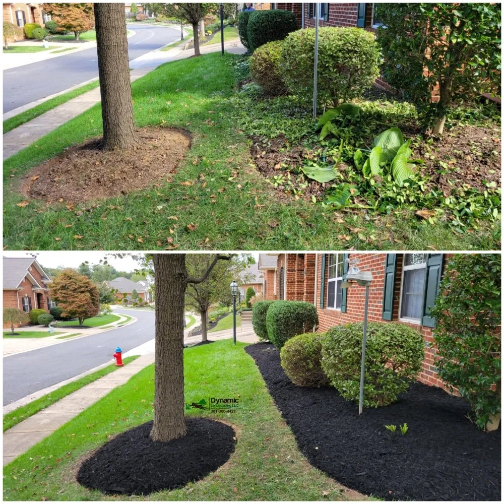 Custom landscaping services in Culpeper, VA by Dynamic Landscaping