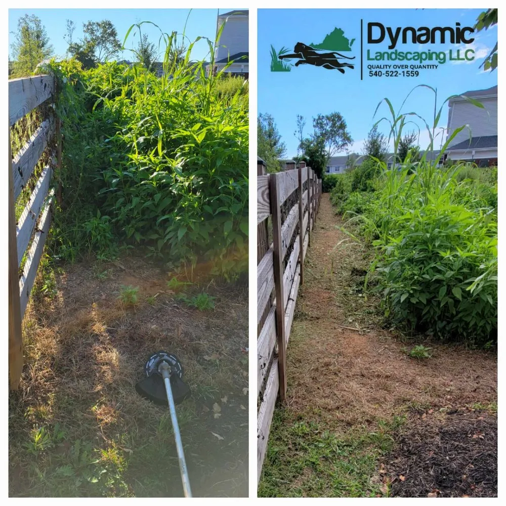 Custom lawn care service for year-round maintenance in Culpeper, VA by Dynamic Landscaping