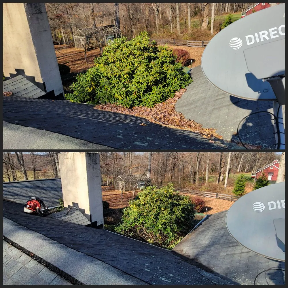 Reliable residential landscaping in Culpeper, VA - Dynamic Landscaping