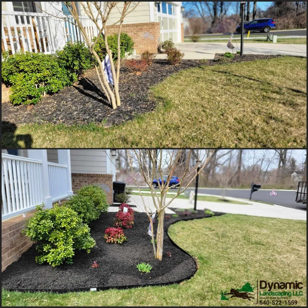 Trusted landscaping services in Culpeper, VA - Dynamic Landscaping