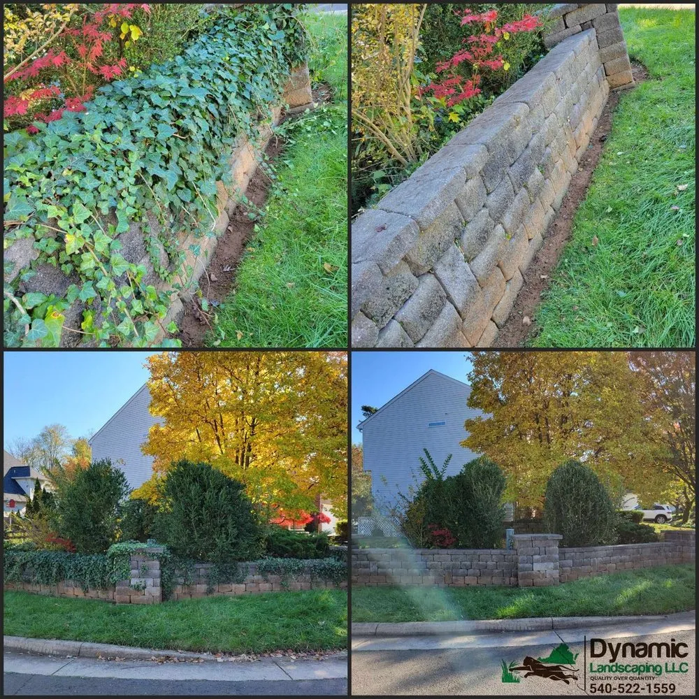 Reliable yard cleanup service in Culpeper, VA - Dynamic Landscaping
