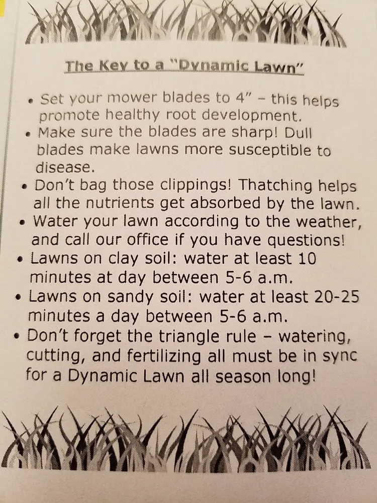 Professional outdoor landscaping in Sterling Heights, MI - Dynamic Lawn & Landscape