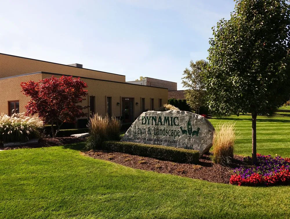 Trusted yard cleanup service in Sterling Heights, MI - Dynamic Lawn & Landscape