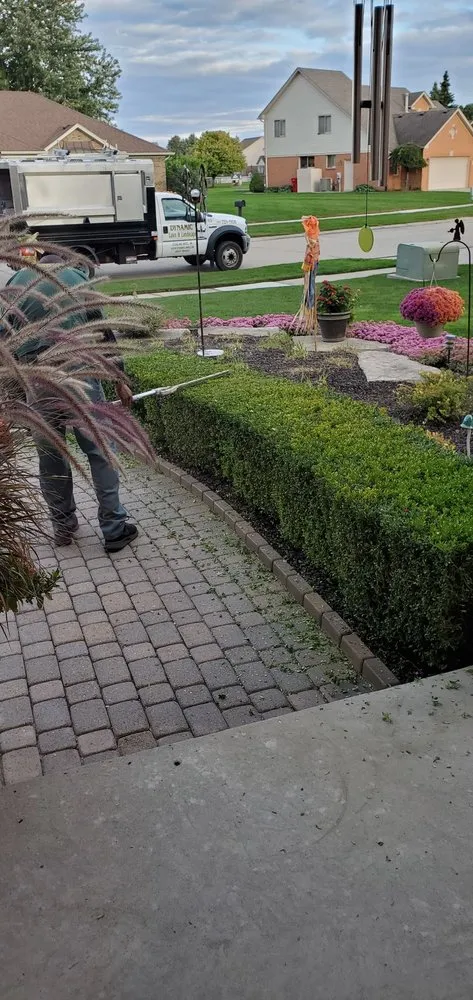 Custom yard maintenance in Sterling Heights, MI by Dynamic Lawn & Landscape