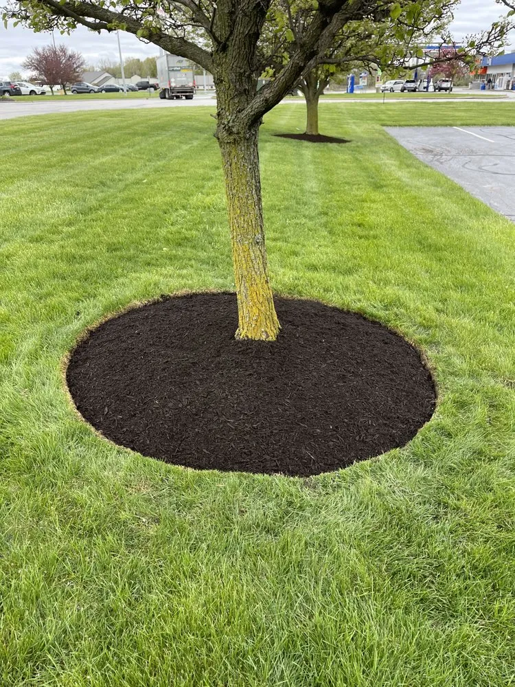 Professional landscaping services in Pierceton, IN - Dynamic Lawn Service