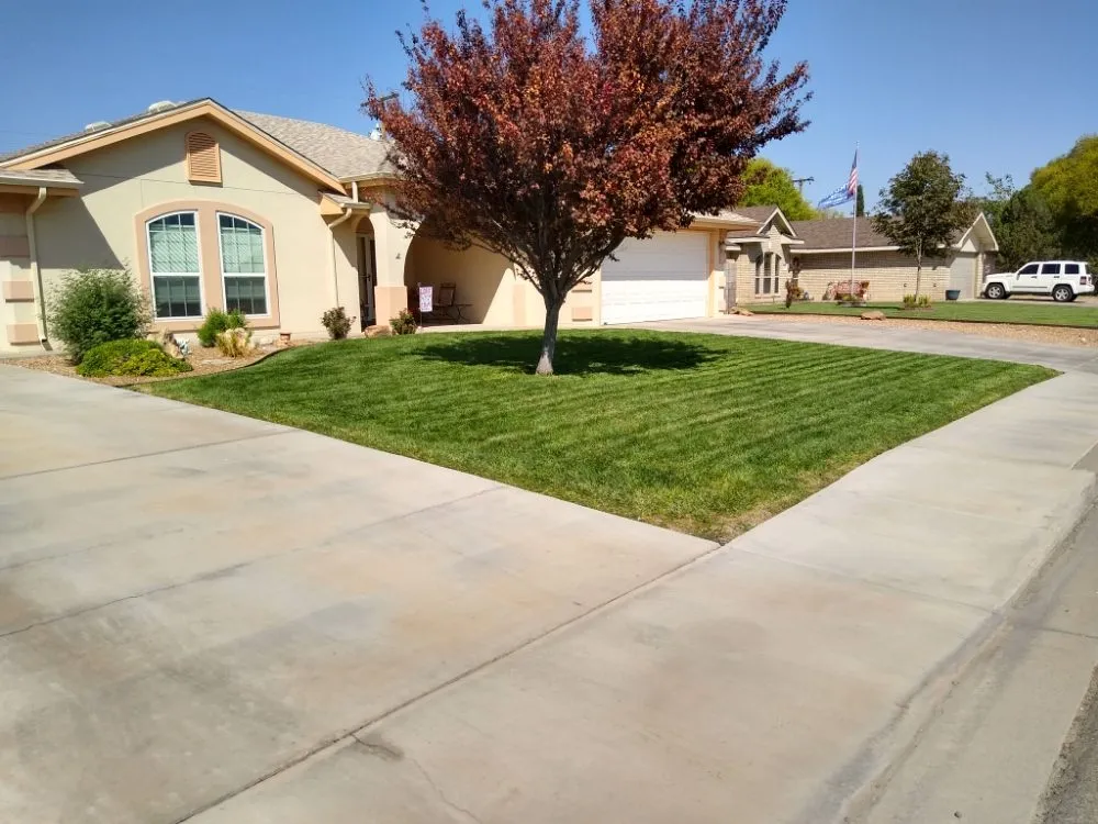 Affordable landscape installation for beautiful yards in Roswell, NM by Dynamic Lawn Service