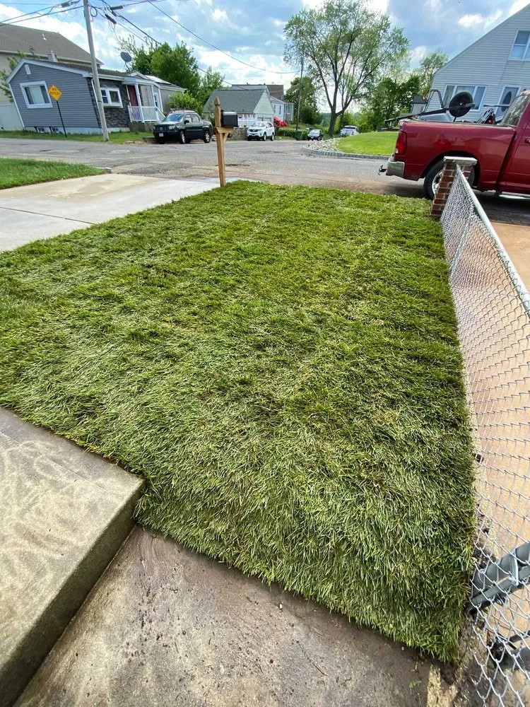 Top-rated residential landscaping near you across Plainfield, NJ - Dynamic