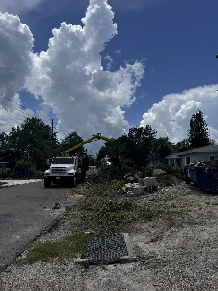 Top-rated yard cleanup service for homes in Redington Shores, FL by Dynamic Trees