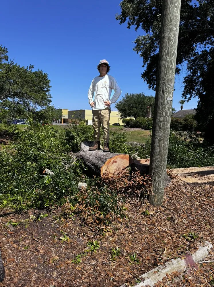 Affordable lawn mowing service for residential properties in Redington Shores, FL by Dynamic Trees