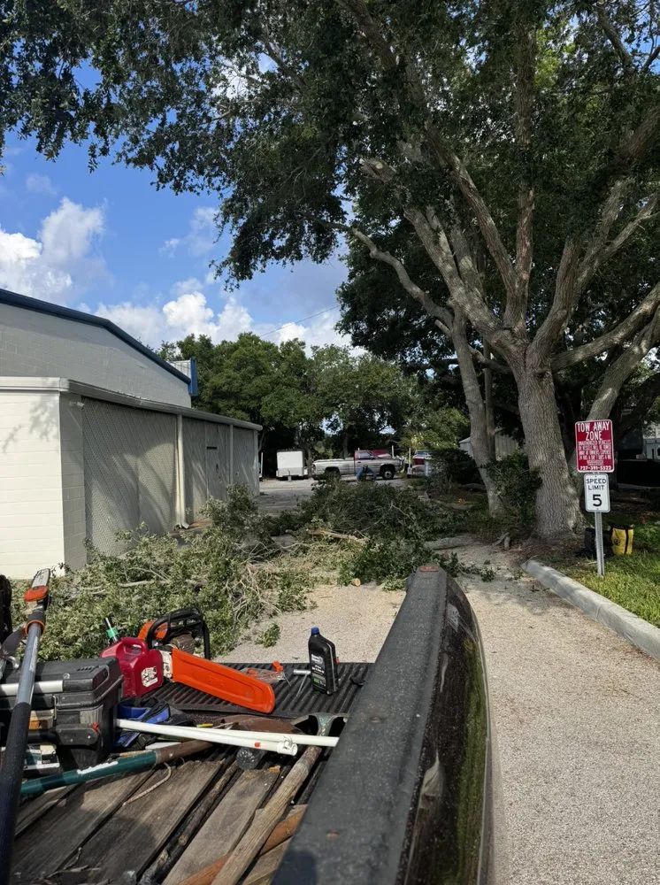 Top-rated lawn care service in Redington Shores, FL - Dynamic Trees