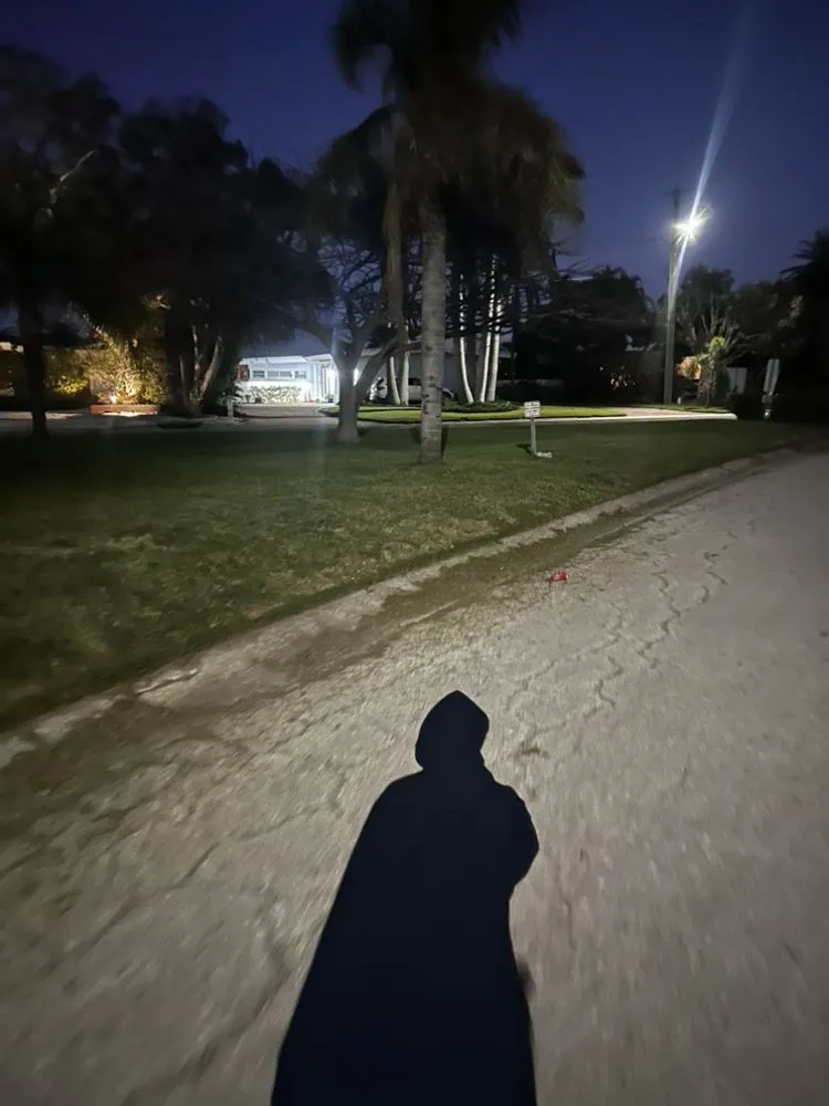 Expert residential landscaping in Redington Shores, FL - Dynamic Trees