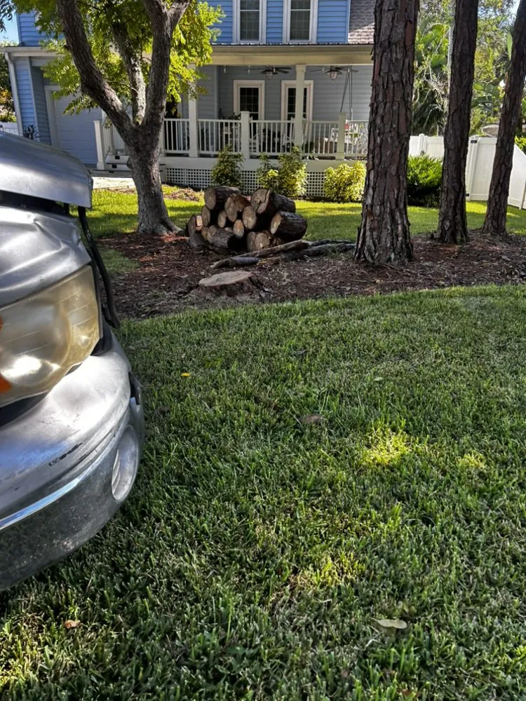 Professional lawn care service in Redington Shores, FL by Dynamic Trees