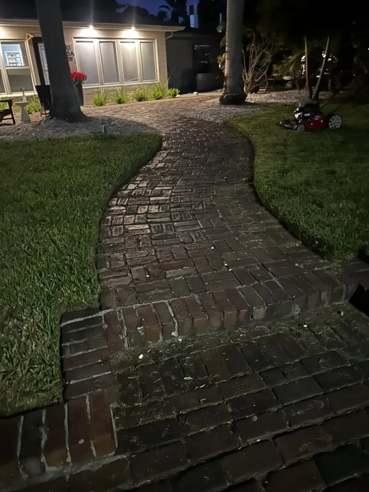 Professional yard cleanup service experts serving Redington Shores, FL - Dynamic Trees